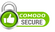 payment_icon_8
