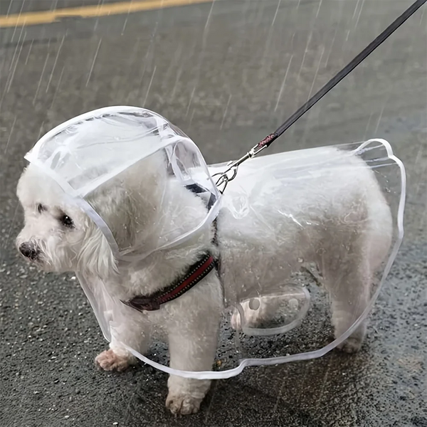 Transparent Waterproof Dog Raincoat, Raincoat for Small and Medium-Sized Dogs, Teddy and Bichon Frise Dog for Rainy Days Walking
