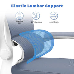 Ergonomic Office Chair with Lumbar Support, Home Office Desk Computer Chairs Adjustable Headrest and Flip-up Armrests Office Furniture