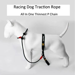Training Dog Choking Rope Leash 2 in 1 Lead Collar 150cm P-Shaped Chain Slip Lead Control Leash for Small Large Competition Dogs Pet Shop