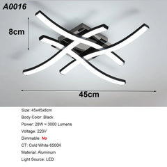 Elegant Curved Design Ceiling Light, Built-in LED Boards, 24W Modern Ceiling Lighting Fixture for Living Rooms, Bedroom, Kitchen