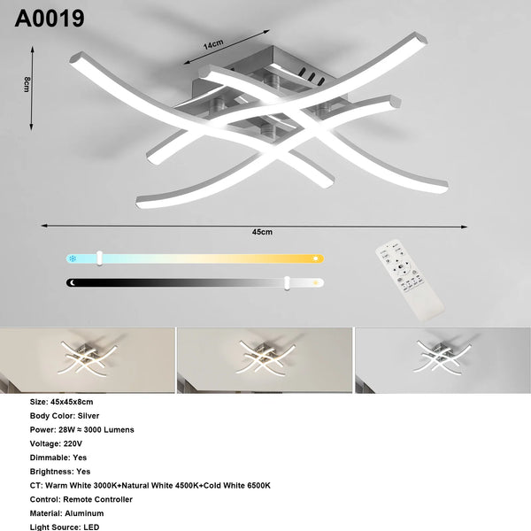 Elegant Curved Design Ceiling Light, Built-in LED Boards, 24W Modern Ceiling Lighting Fixture for Living Rooms, Bedroom, Kitchen