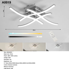 Elegant Curved Design Ceiling Light, Built-in LED Boards, 24W Modern Ceiling Lighting Fixture for Living Rooms, Bedroom, Kitchen