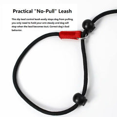 Training Dog Choking Rope Leash 2 in 1 Lead Collar 150cm P-Shaped Chain Slip Lead Control Leash for Small Large Competition Dogs Pet Shop