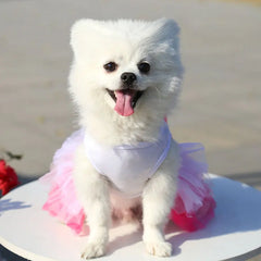 Spring Dog Lace Dress Pet Dog Clothes For Small Dog Party Birthday Wedding  Dress Puppy Costume  Pet Shop
 Pet Clothing