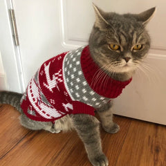 Cute Cat Sweater Costume Winter Warm Pet Clothes for Cats Katten Sphynx Pullover Mascotas Clothing Gatos Products for Animals