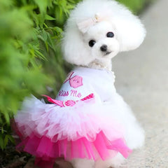 Spring Dog Lace Dress Pet Dog Clothes For Small Dog Party Birthday Wedding  Dress Puppy Costume  Pet Shop
 Pet Clothing
