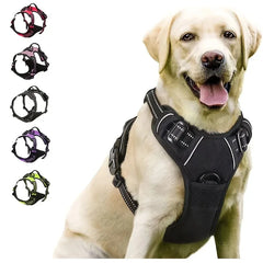 Dog Collars Harness Big Vests Leash Pet Shop Everything for Dogs Leather Puppy Accessories Medium Small Set Pet Shop