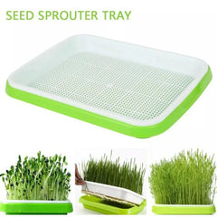 Natural Cat Grass Sprouting Tray Growing Kit Organic Wheat Grass Seeds Sprout Digestive Hairballs Hydroponic Potting Soil Set