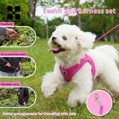 Dog Harness Leash Set for Small Medium Dog Adjustable Reflective Puppy Cat Harness pet Vest Chihuahua Dachshund Outdoor Walking Pet Shop