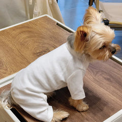 Fashion Winter Pet Dog Clothes Solid Color Cotton Dogs Sweaters Chihuahua Puppy Medium Dogs Knitting Sweatershirt Costume Pet Shop
 Pet Clothing