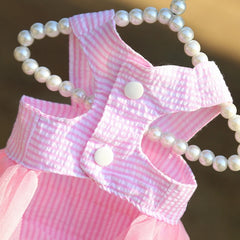 Dog Summer Dress Cat Lace Skirt Pet Clothing Chihuahua Stripe Skirt Puppy Cat Princess Apparel Cute Puppy Clothes Pet Shop Pet Clothing