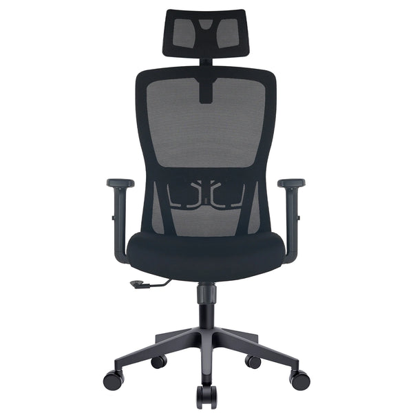 Durrafy Ergonomic Office Chair with Adjustable Headrest, Lumbar Support, Mesh Backrest, Computer Desk Chair for Office Furniture
