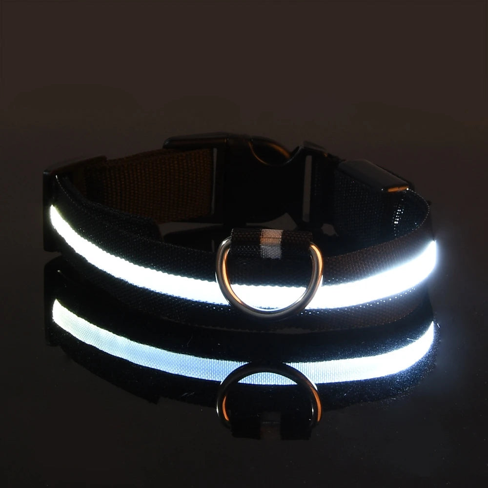 Nylon LED Night Safety Flashing Glow In The Dark Dog Leash Dogs Luminous Fluorescent Pet Dog Collar Pet Shop