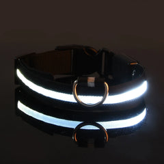 Nylon LED Night Safety Flashing Glow In The Dark Dog Leash Dogs Luminous Fluorescent Pet Dog Collar Pet Shop