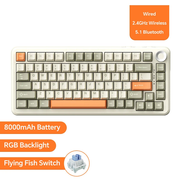 yellow-fish-switch