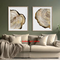 Tree Ring Wood Slice Posters and Prints Tree Stump Canvas Painting Modern Nature Wall Art Pictures for Farmhouse Room Home Decor