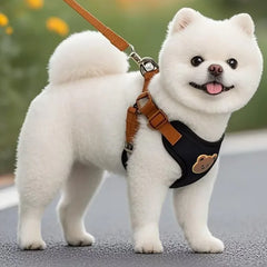 Pet Dog Harness Leash Set Small Medium Dog Cat Vest Breathable Puppy Chest Strap French Bulldog Chihuahua Harness Pet Supplies Pet Shop