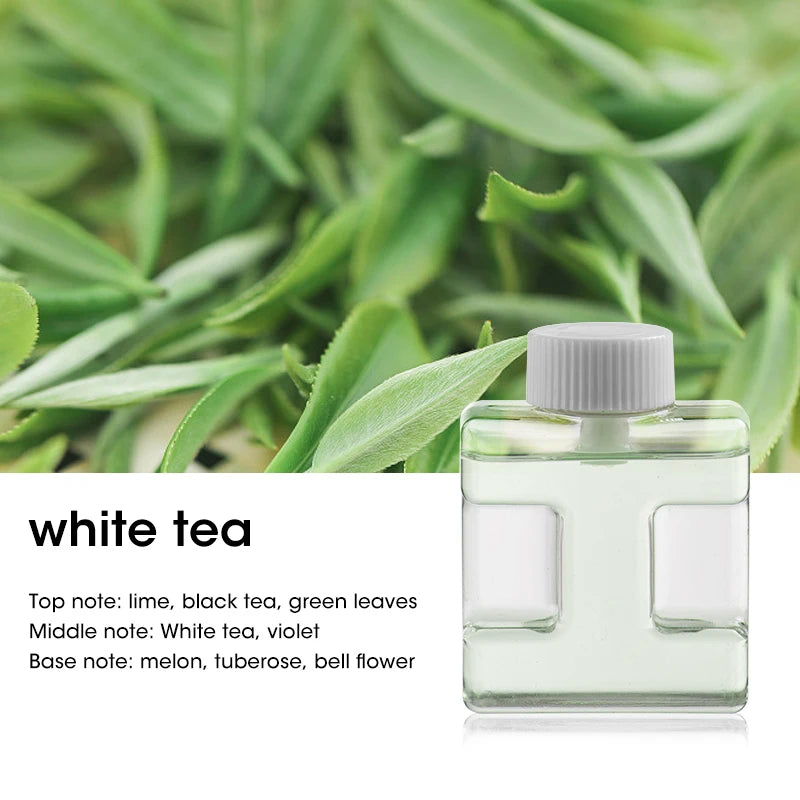 Automatic Fragrance Sprayer USB Ambient Light Timing Wall-Mounted Aromatherapy Machine Home Commercial Essential Hilton Oil