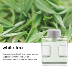 Automatic Fragrance Sprayer USB Ambient Light Timing Wall-Mounted Aromatherapy Machine Home Commercial Essential Hilton Oil