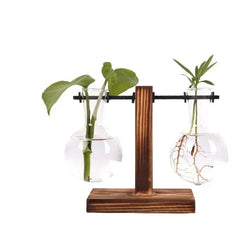 Glass Hydroponic Plant Terrarium Vase – Desktop Home Decor