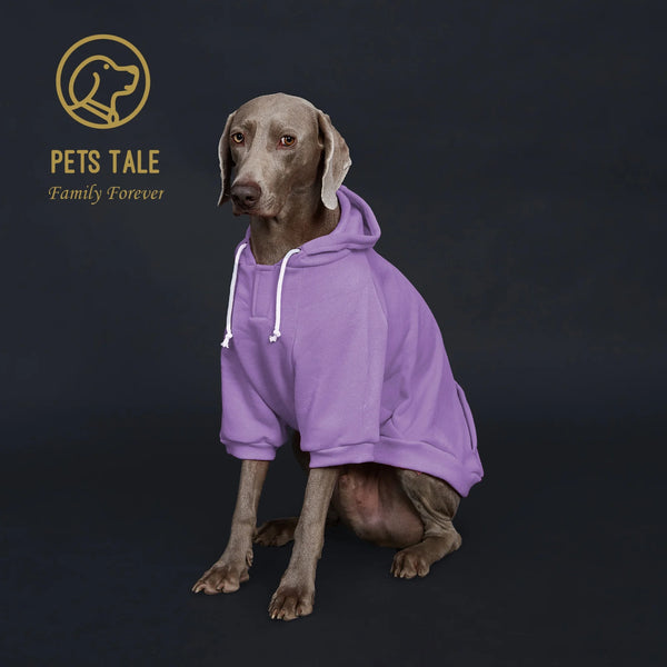 Solid Color Dog Hoodie with Pocket, Leather Patch, Hook and Loop Fastener Pet Shop
 Pet Clothing