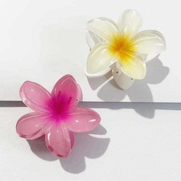 2pcs-6