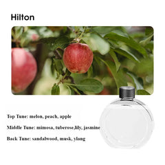 Home Decor Desktop Diffuser Aromatherapy Machine USB Smart Air Purifier with Display for Car Bathroom Air Deodorization Shangri-la