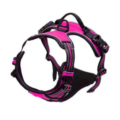 Dog Collars Harness Big Vests Leash Pet Shop Everything for Dogs Leather Puppy Accessories Medium Small Set Pet Shop