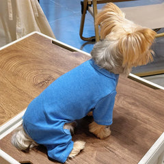 Fashion Winter Pet Dog Clothes Solid Color Cotton Dogs Sweaters Chihuahua Puppy Medium Dogs Knitting Sweatershirt Costume Pet Shop
 Pet Clothing