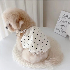 Cute Pet Dog Dress Dot Dog Summer Clothes Puppy Skirt Chihuahua Bichon French Bulldog Clothing Thin Girl Dog Costume Pet Shop Pet Clothing