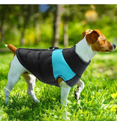 ON Sale Dog Winter Warm Clothes Random Style Pet Dog Clothing Coat For Small Dogs Cat Thicken Jacket Costumes Outfits Chihuahua