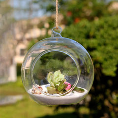 8/10/12/13.5Cm Transparent Glass Candle Holder Flower Hanging Ball Vase Terrarium Tea Light Candlestick Home Wedding Party Decor