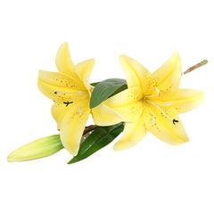 Real Looking 3D Printing Lily Branch  Artificial Flowers White Fake Flowers Flores for Wedding Home Garden Decoration Home Decor, Plants & flowers