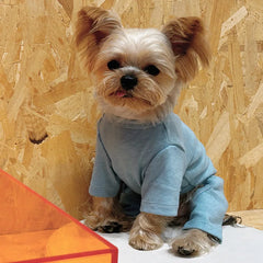Fashion Winter Pet Dog Clothes Solid Color Cotton Dogs Sweaters Chihuahua Puppy Medium Dogs Knitting Sweatershirt Costume Pet Shop
 Pet Clothing