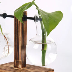 Glass Hydroponic Plant Terrarium Vase – Desktop Home Decor