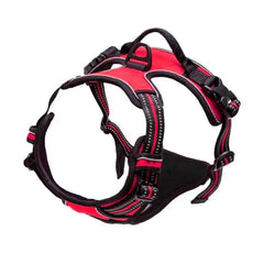Dog Collars Harness Big Vests Leash Pet Shop Everything for Dogs Leather Puppy Accessories Medium Small Set Pet Shop