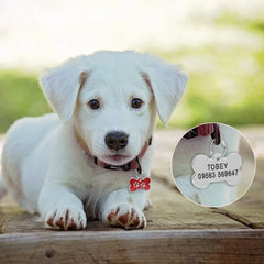 Personalized Dog Cat ID Tag Bling Rhinestone Puppy Kitten Name Tags Anti-lost Pet Collar Accessories Free Engraved Pet Products