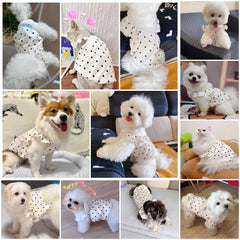 Cute Pet Dog Dress Dot Dog Summer Clothes Puppy Skirt Chihuahua Bichon French Bulldog Clothing Thin Girl Dog Costume Pet Shop Pet Clothing