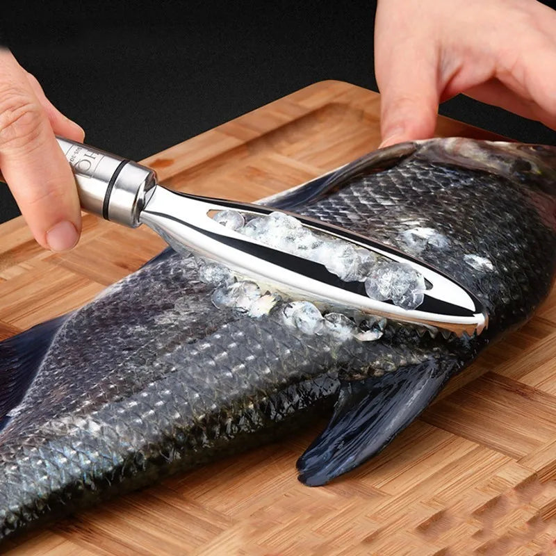 Fish Scale Scraper Tool | Stainless Steel Remover