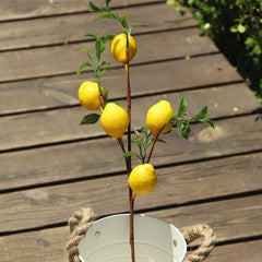 1pcLuxury Lemon Fruit Branch With Green Leaves Artificial Flowers Home Photography Props Flores Artificales Fake Plants Home Decor, Plants & flowers