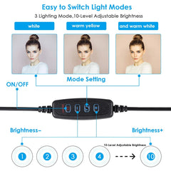 26cm 10 inch Led Ring Selfie Light Dimmable Photography Lighting Kit Usb Charge Lamp With Tripod For Live Video 120 Lamp Beads