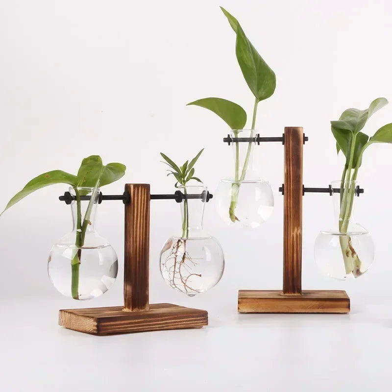 Glass Hydroponic Plant Terrarium Vase – Desktop Home Decor