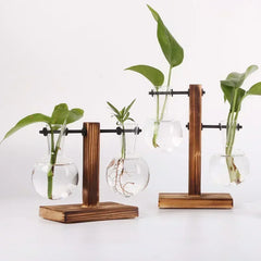 Glass Hydroponic Plant Terrarium Vase – Desktop Home Decor
