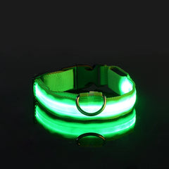 Nylon LED Night Safety Flashing Glow In The Dark Dog Leash Dogs Luminous Fluorescent Pet Dog Collar Pet Shop