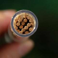 Palo Santo Peruvian Sacred Wood Incense White Sage California Cedar Aromatherapy Natural PlantsIndoor Yoga Aromatherapy