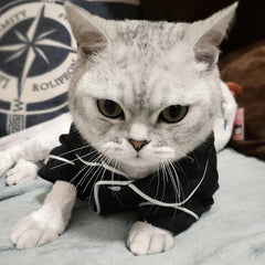 Christmas Pet Cat Costume Clothes for Cats Winter Kedi Katten Sphynx Sweatshirt Hoodie Suit Mascotas Clothing Ropa Para Gato Pet Shop
 Pet Clothing