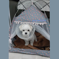Pet Cat Tent Summer Cave Hut Cat Sleep House For Kitten Puppy Playpen Cage Basket Cat Nesk Kennel Small Dog House Bed Pet Shop