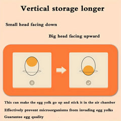32-Egg 2-Tier Fridge Storage Box – additional product image