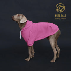 Solid Color Dog Hoodie with Pocket, Leather Patch, Hook and Loop Fastener Pet Shop
 Pet Clothing